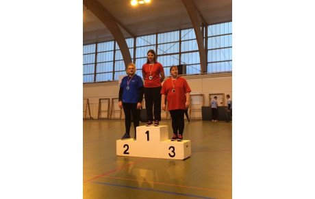 CHAMPIONNAT DEPARTEMENTAL SALLE 2017 CHARTRES